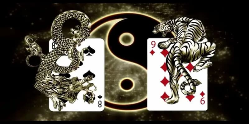 Giới thiệu về cách chơi rồng hổ